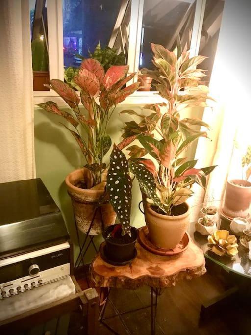 Aconchego Da * Fortaleza (Ceara)